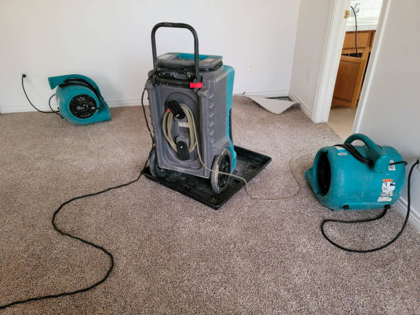 Best Local water damage restoration  in Watergate, FL