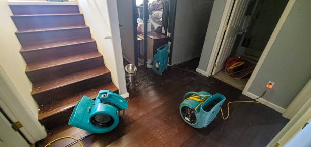 Best Residential water damage restoration  in Watergate, FL
