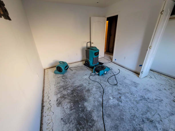 Best Ceiling water damage repair  in Watergate, FL