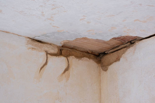 Best Water damage repair service  in Watergate, FL