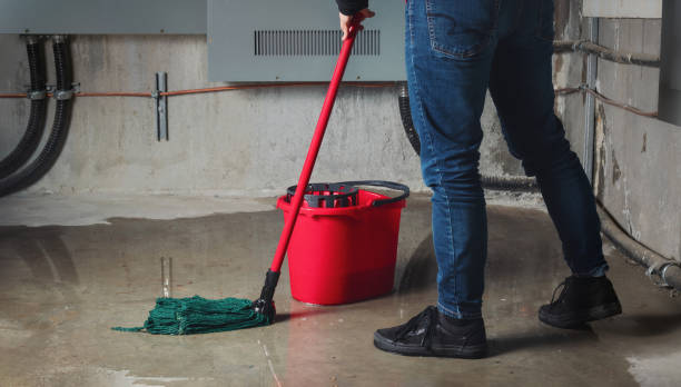 Best Water damage cleanup near me  in Watergate, FL