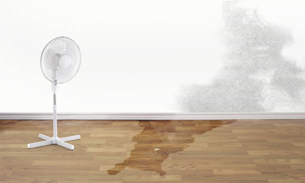 Best Emergency water damage restoration  in Watergate, FL