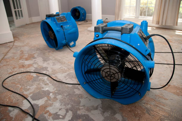 Reliable Watergate, FL Water damage restoration Solutions