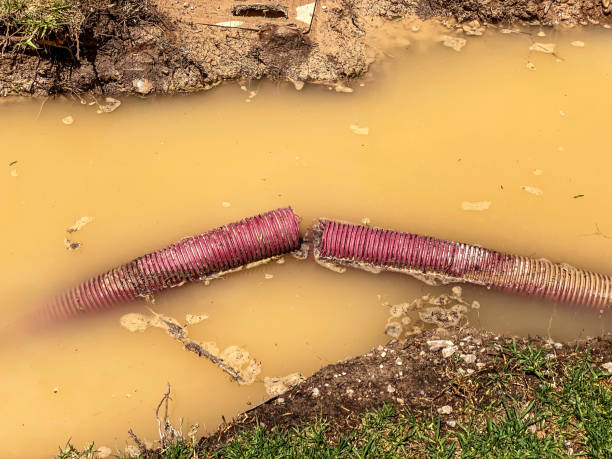 Best Water damage restoration specialists  in Watergate, FL